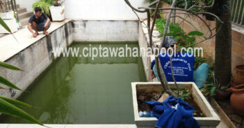 Cara Paling Jitu Mengatasi Kolam Renang Berlumut Cara Jitu Mengatasi Kolam Renang Berlumut