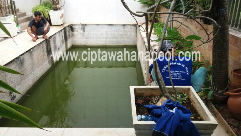 Cara Paling Jitu Mengatasi Kolam Renang Berlumut Cara Jitu Mengatasi Kolam Renang Berlumut