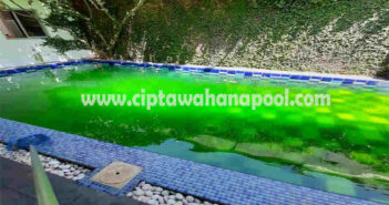 Kenali, Apa Saja Jenis-Jenis Lumut Yang Dapat Muncul Pada Kolam Renang Anda kolam renang menjadi hijau dan berlumut