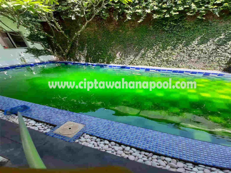 Jenis Lumut Yang Dapat Muncul Pada Kolam Renang Anda kolam renang menjadi hijau dan berlumut