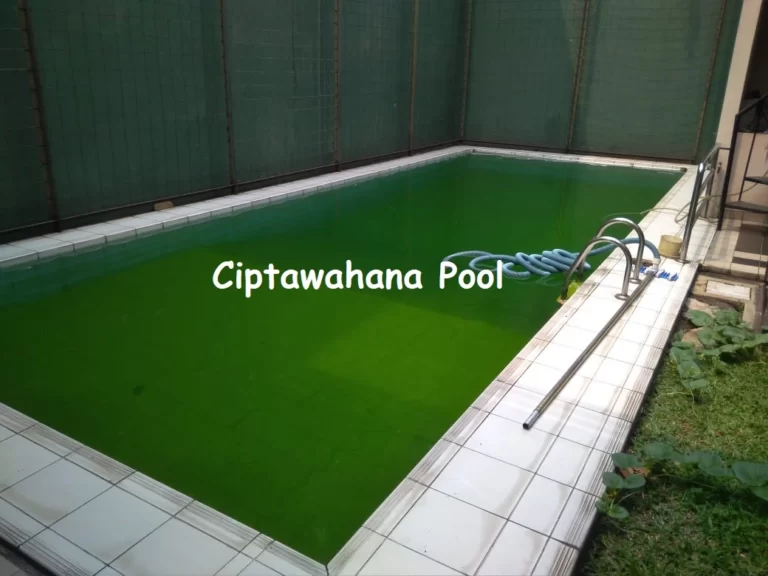 Penyebab Air Kolam Renang Menjadi Hijau penyebab air kolam renang