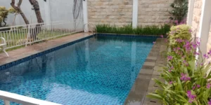 Mengenal Batu Alam Andesit.