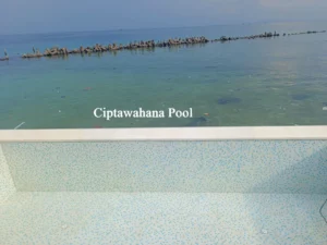 Desain Kolam Renang Estetik yang Menyatu dengan Pemandangan Laut