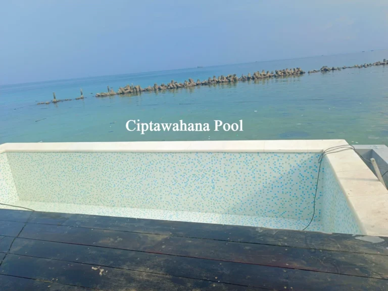 Desain Kolam Renang Estetik yang Menyatu dengan Pemandangan Laut